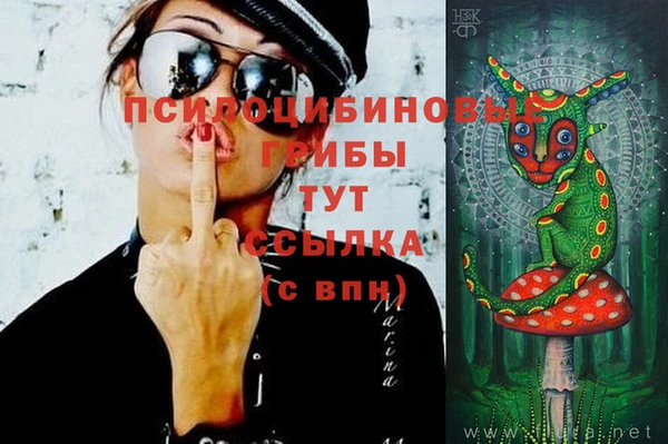 марки lsd Елизово